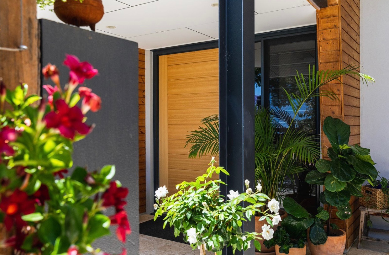 Modern home entrance with timber door and lush planting